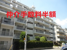 藤和湯島コープ【仲介手数料半額・新規物件】【リフォーム済み】【予約制オープンルーム】の画像