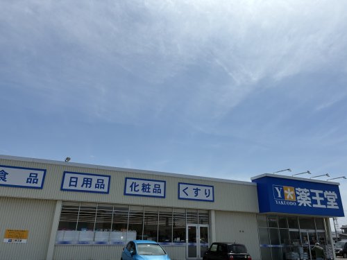 薬王堂 由利本荘薬師堂店