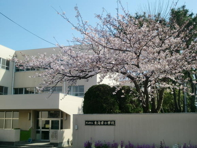 茅ヶ崎市立東海岸小学校