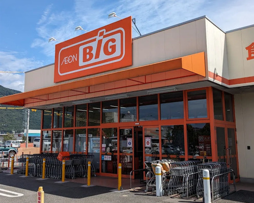 ザ・ビッグ 甲府和戸店