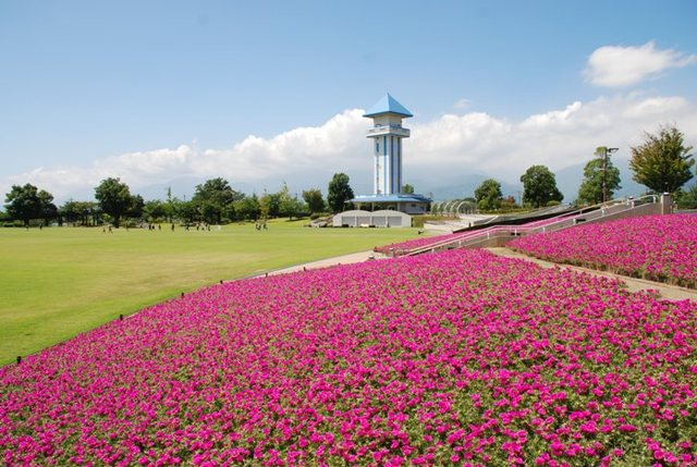 赤坂台総合公園（ドラゴンパーク）