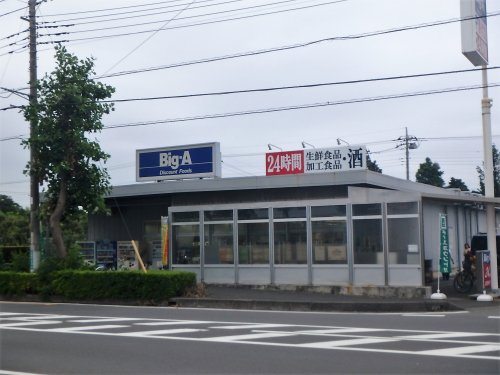 ビッグ・エー さいたま芝原店