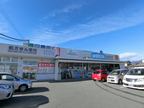 ウエルシア石和店