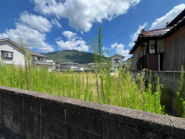 【現地写真】
2026年7月に撮影しました