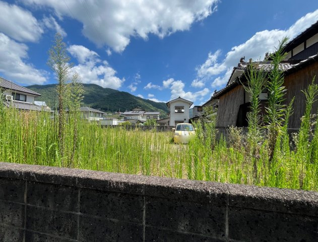 【現地写真】
2026年7月に撮影しました