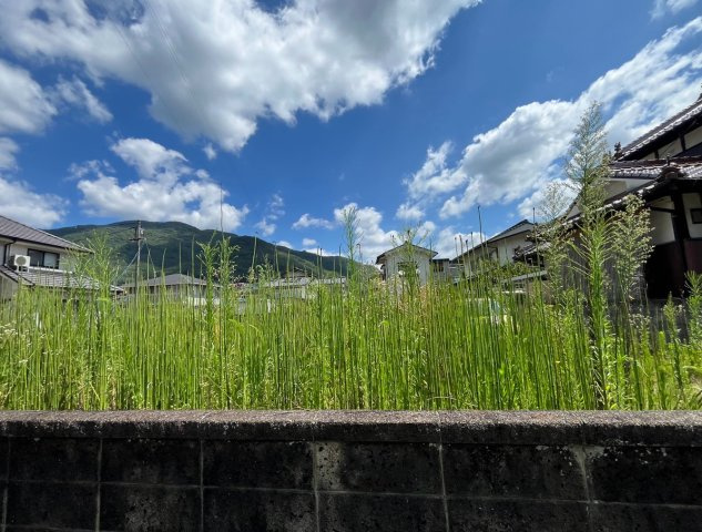 【現地写真】
2026年7月に撮影しました