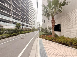 整備された歩道と緑が並ぶ通りは日常の移動も快適です。周辺は高層マンションが立ち並び都市的な雰囲気が広がっています。道幅もゆったりしており車や自転車の通行にも配慮が感じられます。