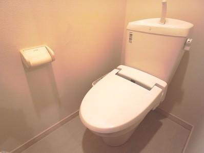 写真はイメージ画像となります。