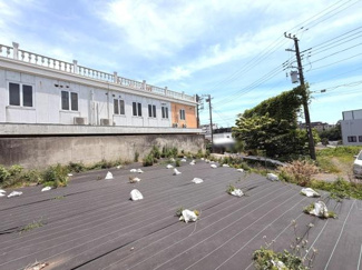 現地土地写真から周辺の落ち着いた雰囲気が伝わります。整地された状態で敷地の広さも感じられます。