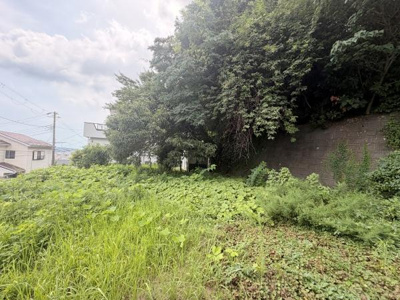 緑に囲まれた広々とした敷地です。周辺に住宅があり落ち着いた雰囲気の現地土地写真です。