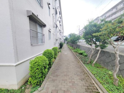 建物横には手入れの行き届いた植栽が並びすっきりとした印象の通路が広がっています。毎日の移動が快適に感じられる歩道です。周辺は緑が多く落ち着いた雰囲気が漂っています。