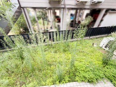 敷地内にはゆとりある庭スペースがあります。陽当たりの良い場所ですので様々な利用が可能です。プライベート空間もしっかり確保されています。ガーデニングやアレンジに適した環境です。
