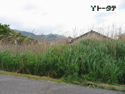 東広島市八本松町飯田の画像