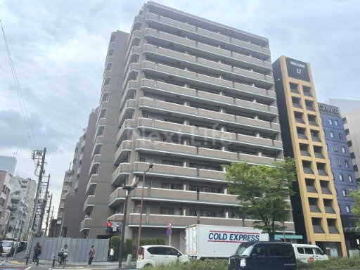 オリーブ スクエア