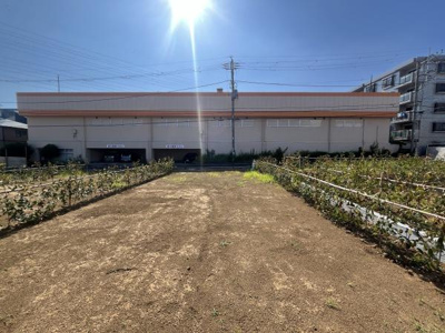 日当たりが良く明るい雰囲気の現地土地写真です。ゆとりある敷地が特徴的です。