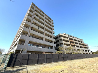建物周辺には緑豊かな植栽が彩りを添えています。