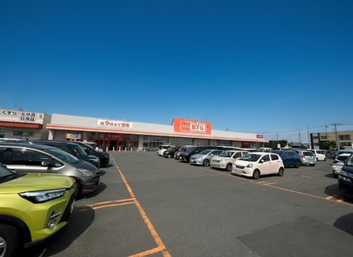 ザ・ビッグ東雁来店