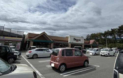 デリシア 伊那インター店