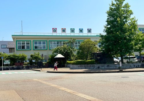 白楊幼稚園