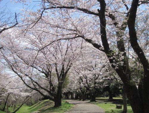 神立公園