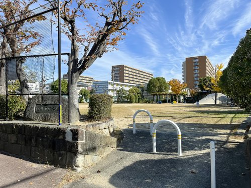 白川中央公園