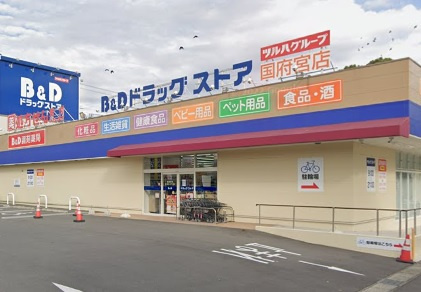 B&Dドラッグストア 国府宮店