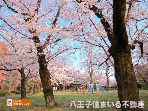日野中央公園