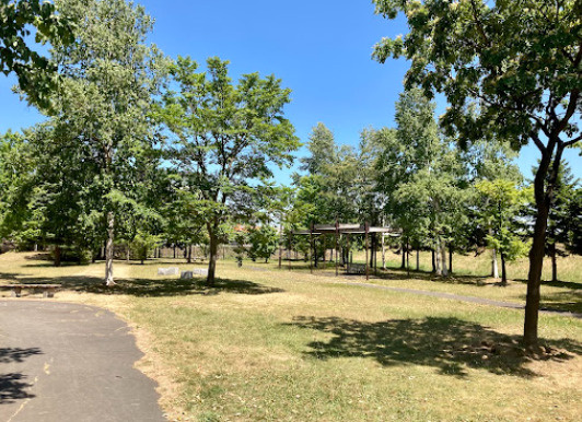 富丘東公園