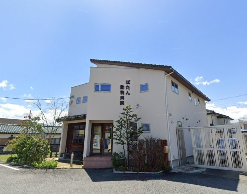 ぼたん動物病院