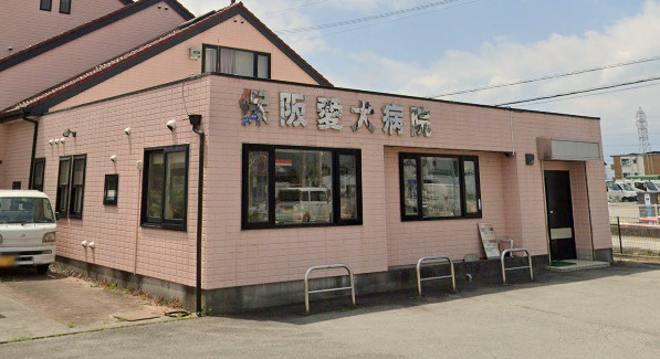 保阪愛犬病院