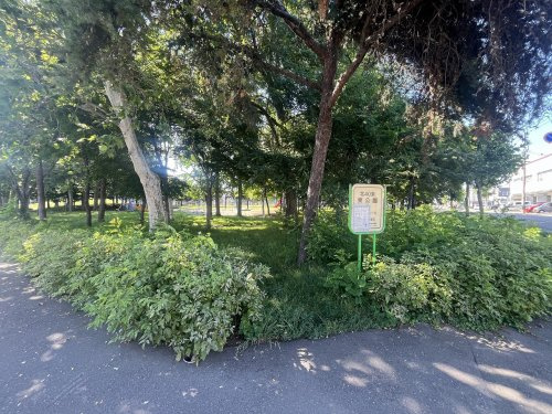 北４０条東公園