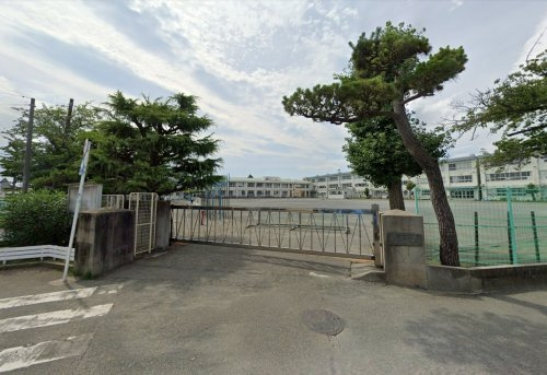 茅ヶ崎市立松林小学校