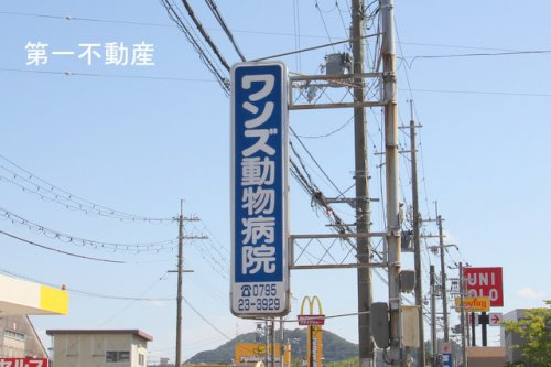 ワンズ動物病院