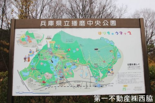 播磨中央公園