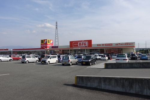 ザ・ビッグ櫛形店