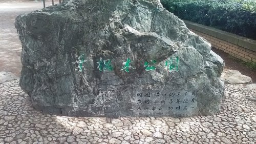 葉根木公園