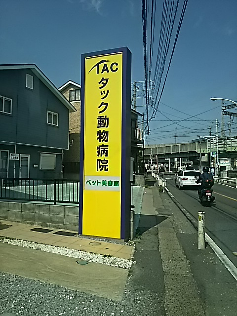 タック動物病院