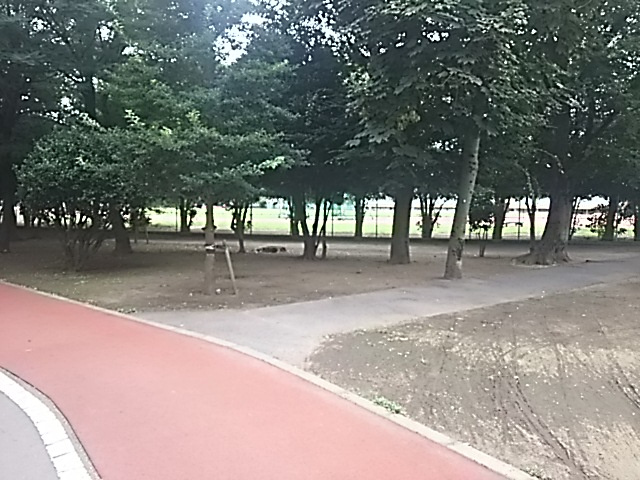 青木町公園総合運動場