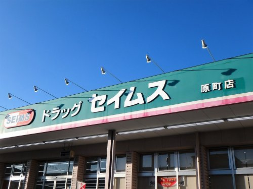 ドラッグセイムス 原町店