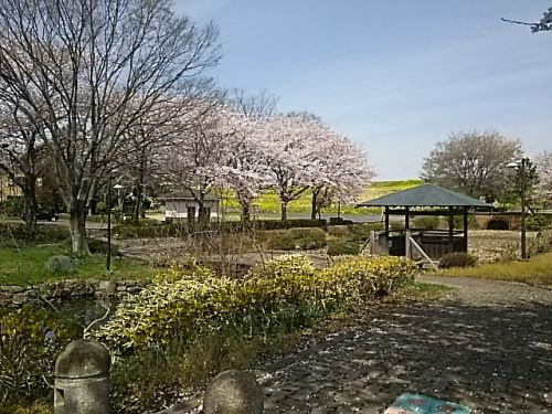 葛西親水公園