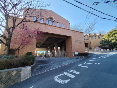 のびてゆく幼稚園