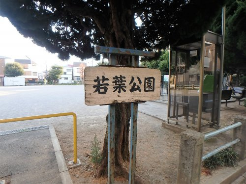 若葉公園