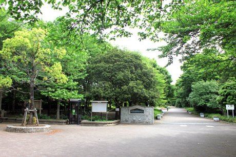 市民の森 見沼グリーンセンター