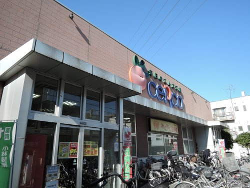 セルカ 毎日のこんだて館