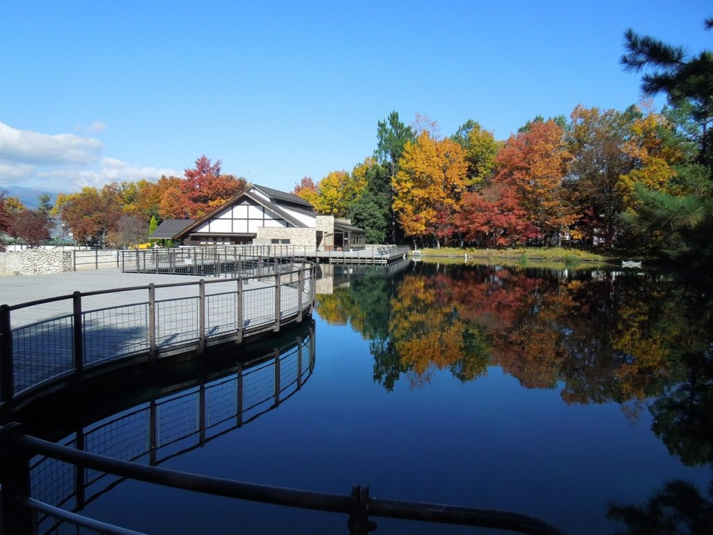 山梨県森林公園　金川の森