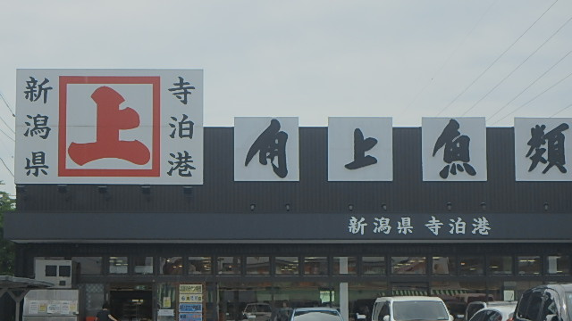 角上魚類 川口店