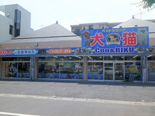 ペットショップCoo&RIKU 川口戸塚店