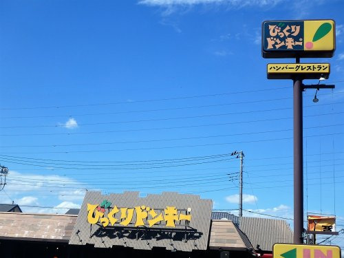 びっくりドンキー 川口伊刈店