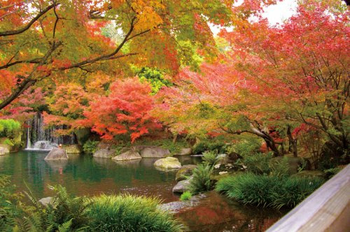 姫路城西尾屋敷跡庭園好古園