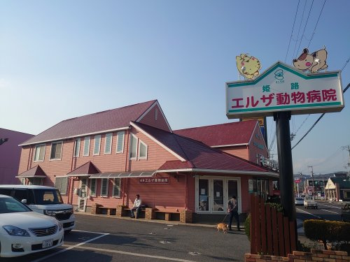 エルザ動物病院